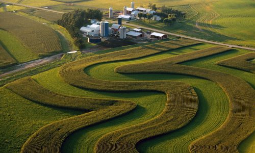 Contour farming, Minnesota, USA, aerial view